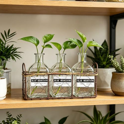 Plant Propagation Stations with Metal Stand 3 Jars