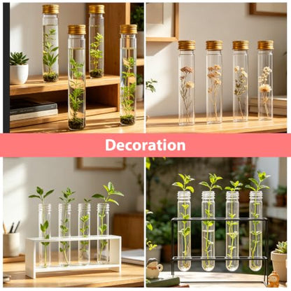 WOPPLXY 50 Pcs 65 ML Clear Plastic Test Tubes with Caps, Plastic Candy Tubes with Screw Caps, Clear Bath Salt Tubes, Gumball Tube for Candy Bath Salts Spices Beads and Party Christmas Home Décor