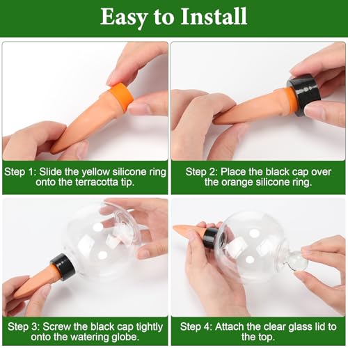 Zhehao 6 Pack Plant Watering Globes with Labels, Self Watering Device Set