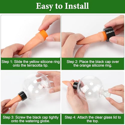 Zhehao 6 Pack Plant Watering Globes with Labels, Self Watering Device Set