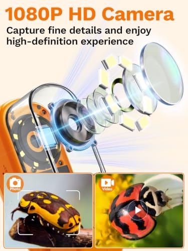 Bug Catcher for Kids with Microscope, Bug Catching Kit-Orange - color: Orange