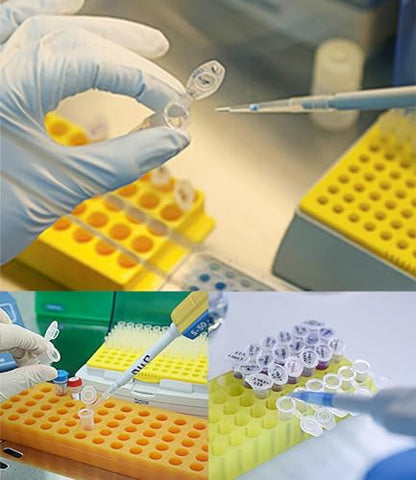 50pcs 5ml Plastic Test Tubes with Scale & Round Bottomed