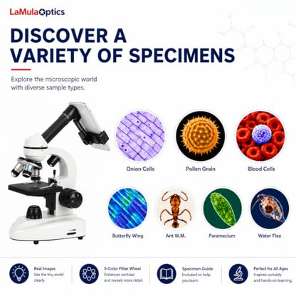Microscope for Adults Students, 40X-2000X Microscopes, Metal-Structure Dual LED Illumination, Biological Compound Monocular Microscope Kit for School Lab, Homeschool w/Carrying Bag