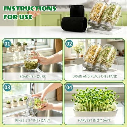Seed Sprouting Jar Kit - 4 Wide Mouth Mason Jars with 316 Stainless Steel Sprouting Lids, 2 Drip Trays & 2 Stands, Complete Home Growing Set for Broccoli, Alfalfa, Beans, Wheatgrass (4 Jars)