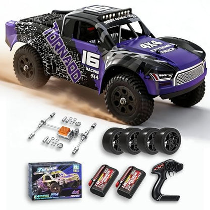 X-TMAGA 1:16 All Terrain RC Cars, 4WD Off-Road Remote Control Car (HS16-83) - color: Purple