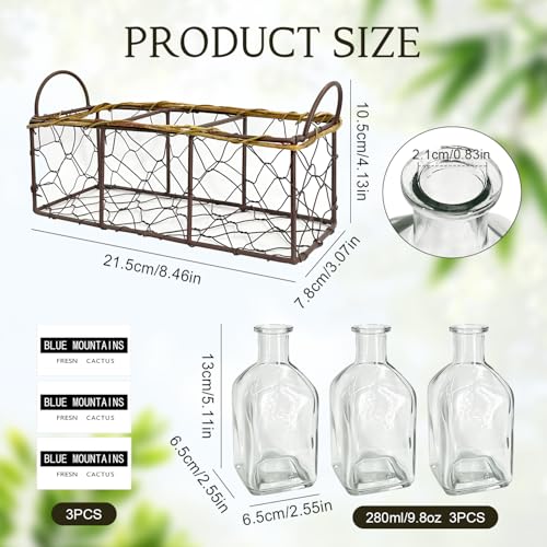 Plant Propagation Stations with Metal Stand 3 Jars