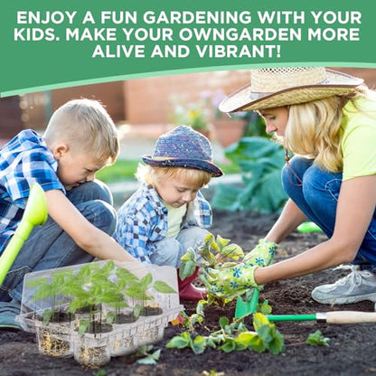 Vesici 10 Pack Seed Starter Tray Kit Seedling Starter Trays with 60 Pcs 4 Inch Nursery Pots and Humidity Dome (60 Cells) Mini Greenhouse Plant Germination with Labels for Garden(Clear)