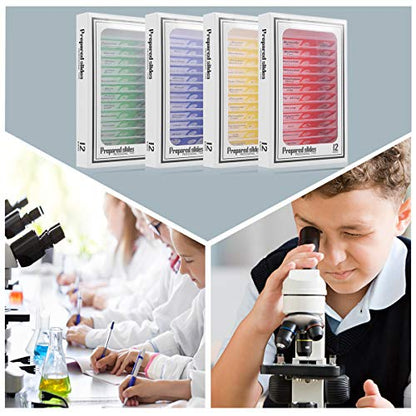 48pcs Plastic Prepared Microscope Slides - size: 48pcs