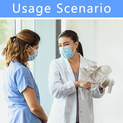 Movable Female Pelvis Model w/Elastic Two Movable Femur Heads and Joints, Life Size Female Pelvic Anatomy Model for Science Education, Midwife in Obstetrics, Gynecology Patient Communication