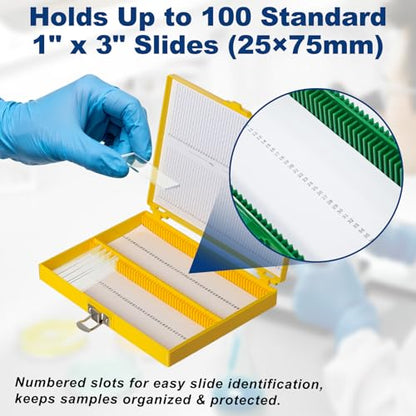 Microscope Slide Box, 100-Place, Foam Liner, 30 Pcs - size: Foam Lining