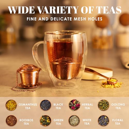 Tea Infuser Set of 2 with Tea Scoop & Drip Trays, Loose Leaf Tea Strainer - color: Rose Gold, size: Medium