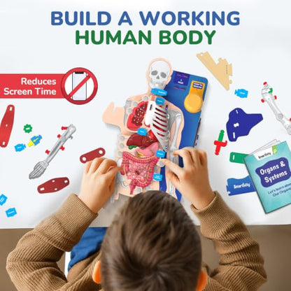 Smartivity DIY Interactive Human Body Model for Kids 8-14 Years