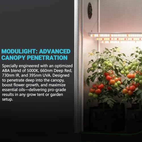 2x2 Complete Grow Tent Kit, 24x24x48 Indoor Grow Tent with 33W ABA LED Grow Light Bars, Inline Duct Fan, Carbon Filter, Fan Controller, 1680D, Silver Ducting, Hydroponic Indoor Growing Ventilation Kit