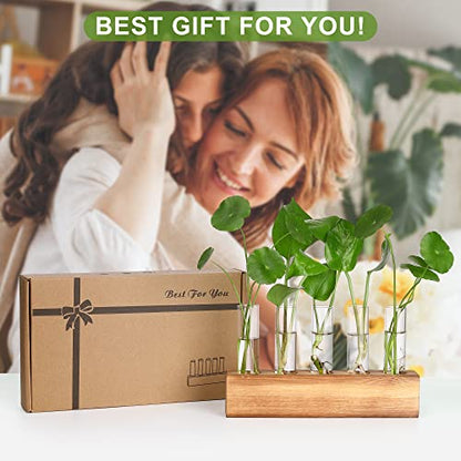 YIBOT Plant Propagation Station, Plant Terrarium with Wooden Stand - color: Brown, size: 8.7"L x1.6"W x2"H