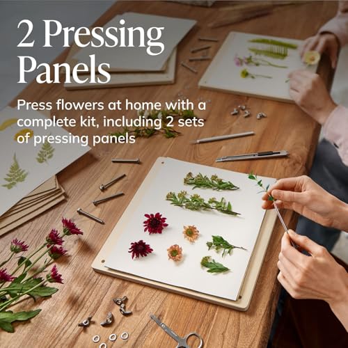 DIY Gift Kits Flower Press Kit - 20 Layers - 2 Sets of 10x10 Inch Wooden Panels - Easy Dried Flower Crafting and Preservation - Adult Beginner Gift Set