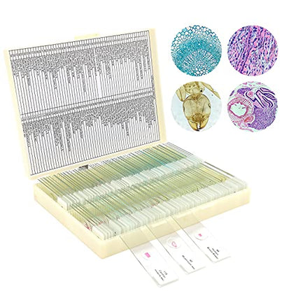 120 Microscope Slides with Specimens for Kids: Prepared Slides for Science - size: 120pcs