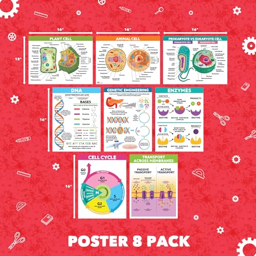 Sproutbrite 8 Pack 12”x16” Plant Cells & Human Body Science Posters & Chart