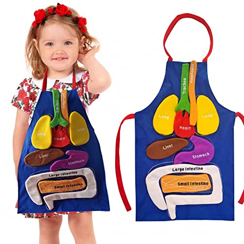 Boczif 3D Organ Apron Awareness Educational Toy, Human Body Model for Kids