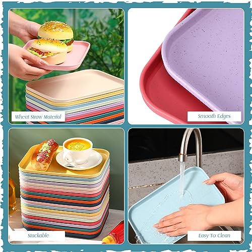 Dandat 20 Pack Small Cafeteria Trays 9.8 x 6.7 Inch Lunch Trays Colorful