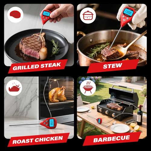 AWLKIM Dual Probe Meat Thermometer, Instant Read + Oven Probe Alarm, USB-C