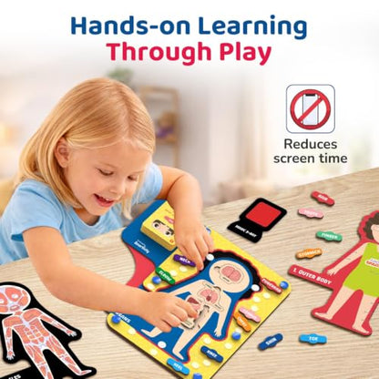 Smartivity Human Body Anatomy Puzzle for Kids 4-7 Years