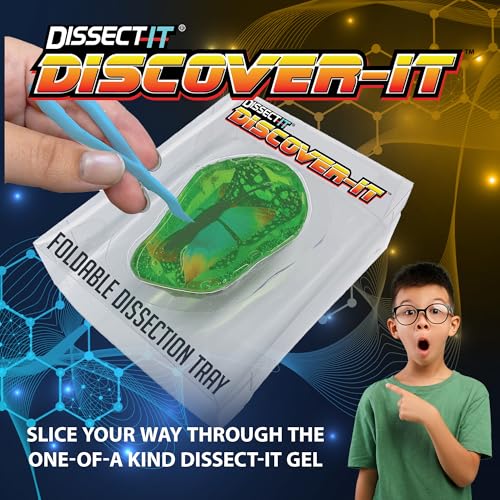 Discover it Butterfly, Science Lab Kit, STEM Toys for Kids, Ages 5+ - style: Butterfly