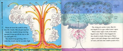 Flash, Crash, Rumble, and Roll: A Colorful STEM Picture Book about Thunderstorms and Lightning for Kids (Ages 4-8)