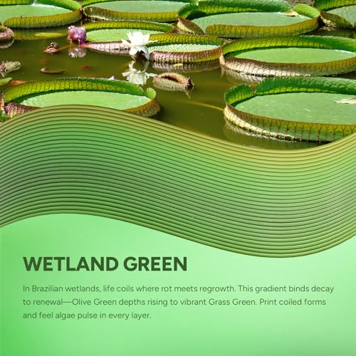 OVERTURE Rock PLA Filament 1.75mm, Marble PLA, 1kg Wetland Green - color: Natural-wetland Green