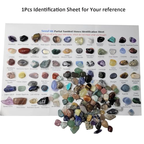 800Pcs+ (3lb) Gemstones and Crystals Set,30Kinds+ Bulk Rocks and Minerals Science Kit,Rocks Collections for Kids,Tumbled Chips Crystals,Crushed Stones