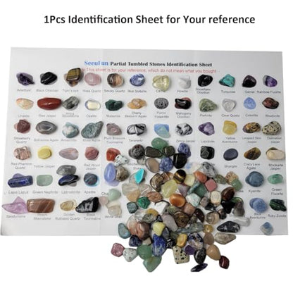 800Pcs+ (3lb) Gemstones and Crystals Set,30Kinds+ Bulk Rocks and Minerals Science Kit,Rocks Collections for Kids,Tumbled Chips Crystals,Crushed Stones