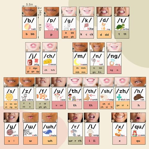 Ireer Pastel Consonants Sound Wall for Classroom with Mouth Image - color: Pastel, style: Consonants