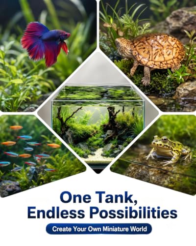 5 Gallon Glass Aquarium Starter Kit, Rimless Fish Tank - color: Transparent, size: 5 Gallon