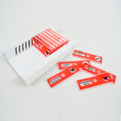 Kids Microscope Accessories 12pcs Plastic Slides Prepared Specimens Set