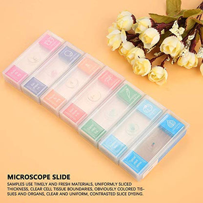 35pcs Microscope Slide, Assorted Cytology Botany Zoology Entomology Prepared Slides Biology Glass Lab Specimens Set for Students Science Experiment Teaching