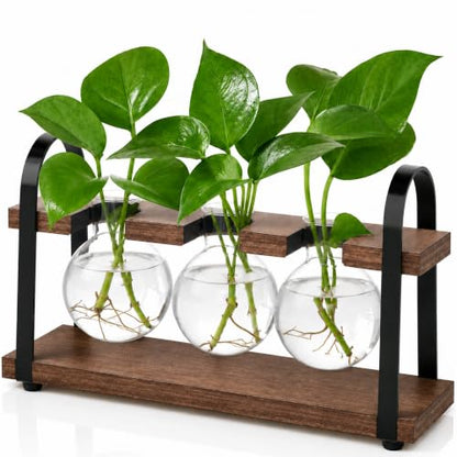 3-Bulb Plant Propagation Station, Glass Vase Terrarium, Brown - color: Brown