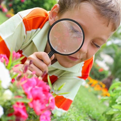 Elcoho 48 Pack Handheld Magnifier Plastic Magnifying Glass for Reading Jewelry Home Office Desk Accessories with Storage Bag