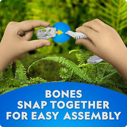 National Geographic Glow-in-the-Dark Dinosaur Skeleton Model Building Kit - style: Dinosaur Skeleton Models Kit