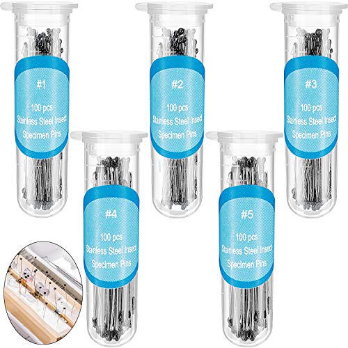 WILLBOND 500 Pieces Stainless Steel Insect Pins Kit Specimen,5 Sizes - size: 5 Sizes