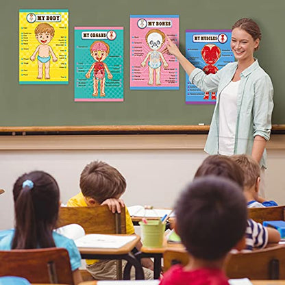 Outus 4 Pcs Human Body Parts Posters for Kids, 11 x 17 Inch