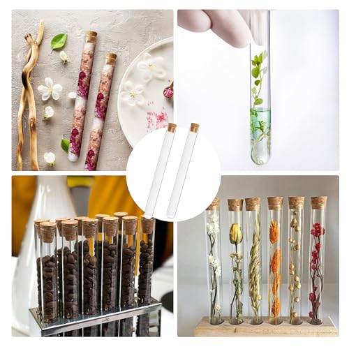 50 pcs 20ml Test Tubes with Cork Stoppers, 150MM x 15MM - size: 20 ML