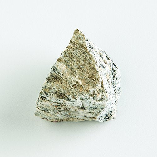 EISCO Biotite Gneiss Specimen (Metamorphic Rock), Approx. 1" (3cm)