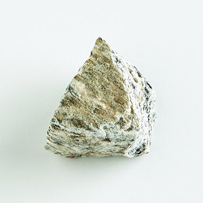 EISCO Biotite Gneiss Specimen (Metamorphic Rock), Approx. 1" (3cm)