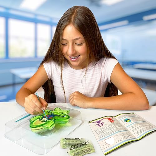 Dissect-It, Deluxe Frog Dissection Kit, STEM Toys for Kids, Ages 6+