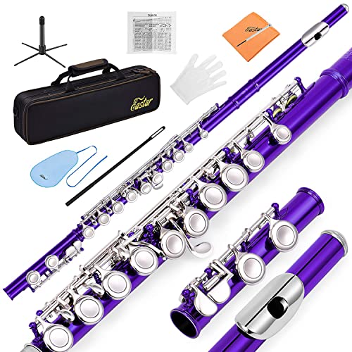 Eastar 16-Key Closed Hole C Flute Kids Beginner, Purple Full Kit, EFL-1Pu - color: Purple