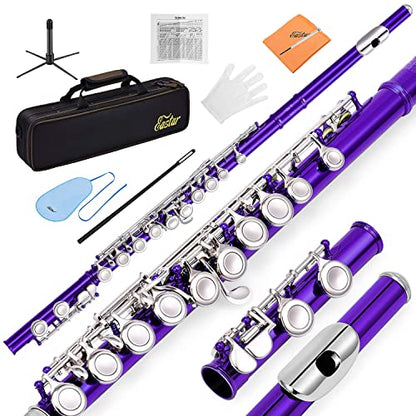 Eastar 16-Key Closed Hole C Flute Kids Beginner, Purple Full Kit, EFL-1Pu - color: Purple