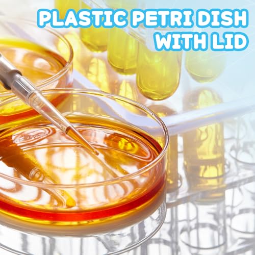 60 Pack 60 x 15 mm Plastic Petri Dishes with Lids - size: 60pcs 60MM