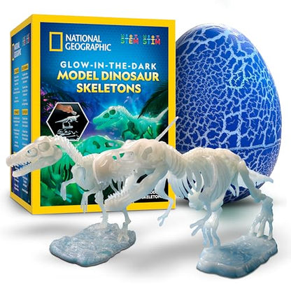 National Geographic Glow-in-the-Dark Dinosaur Skeleton Model Building Kit - style: Dinosaur Skeleton Models Kit