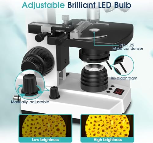 Microscope for Adults with 40X-2500X Magnification, Lab Trinocular Compound Microscope with Thermostat Stage, 7'' LCD Screen, Built-in 5MP Camera for Lab School (Constant Temperature)