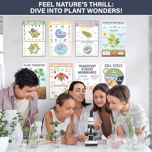 BrightenKidz Biology Posters for Classroom, 15 Pack 11x17 Science Charts - color: Biology Posters