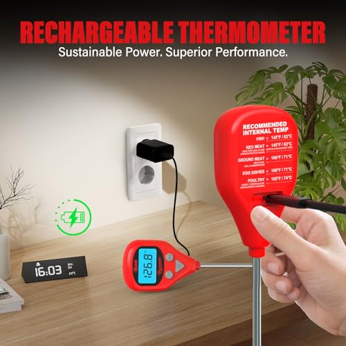 AWLKIM Dual Probe Meat Thermometer, Instant Read + Oven Probe Alarm, USB-C